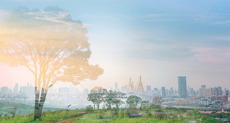 The accelerating loss of biodiversity constitutes one of the most urgent challenges of the 21st century. Biodiversity is vanishing at an alarming rate, posing severe risks to both economic stability and human well-being.