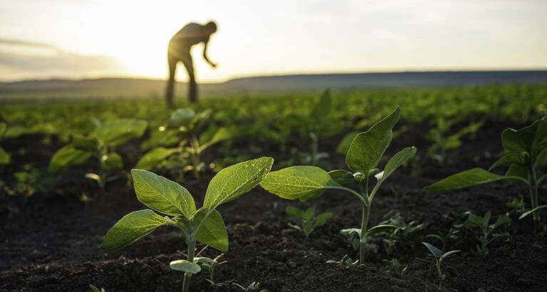 Biodiversity richness and the abundance of natural resources are central to economic prosperity and to cultural and genetic heritage.