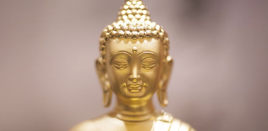 2016-network-tiaraletourneau-883x432