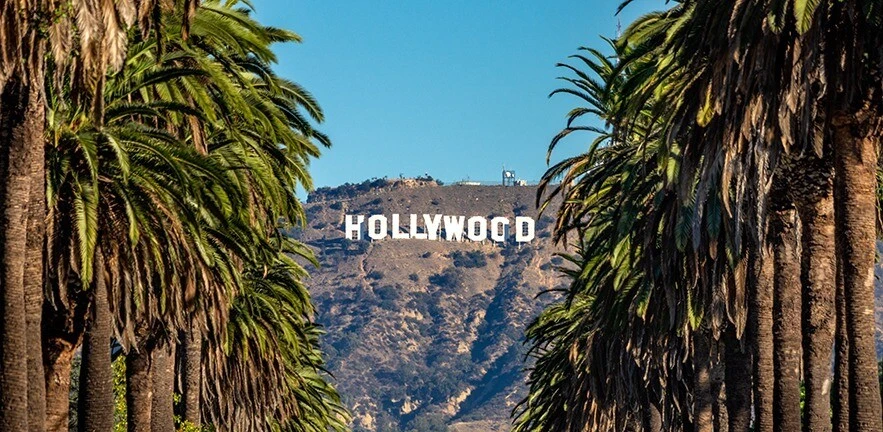 2020 lowdown hadida hollywood 883x432 1