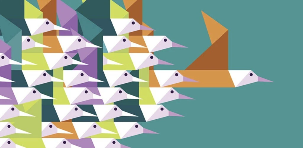 Cambridge Social Ventures highlights.