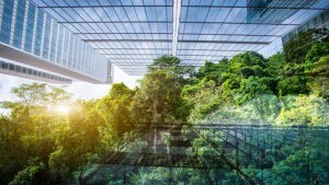 Biodiversity and finance.