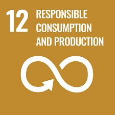 Responsible consumption and production - UN sustainable development goal