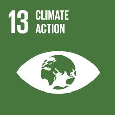 Climate action - UN sustainable development goal
