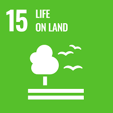 Life on land - UN sustainable development goal