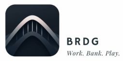 Brdg logo.