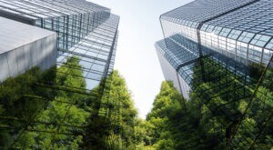 Green trees reflecting in glass office buildings.