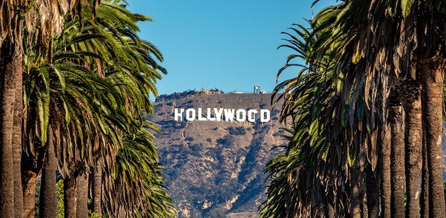View of the Hollywood sign between palm trees.