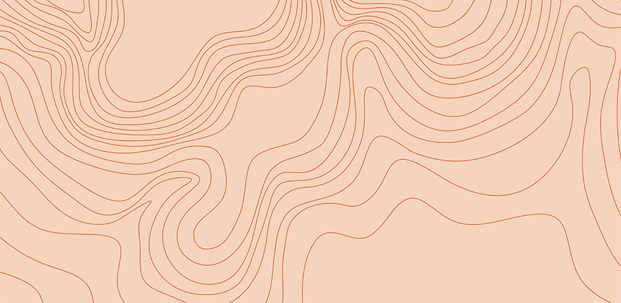 Topographic map.