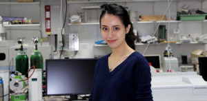 EnterpriseTECH Postgraduate.