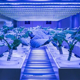 Circular farming.