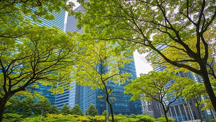 City and trees.
