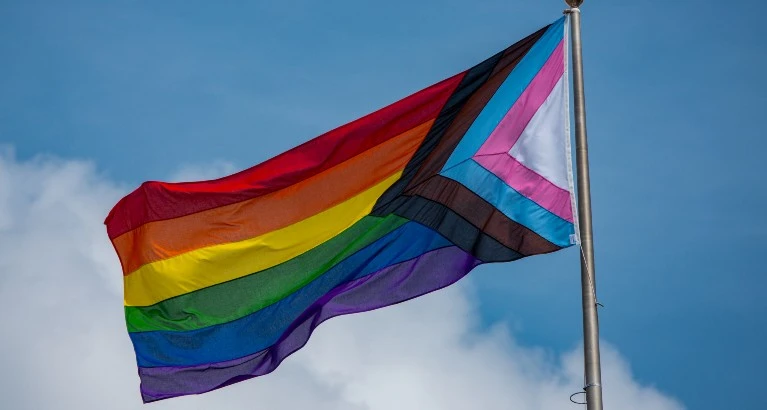 Pride Progress flag.