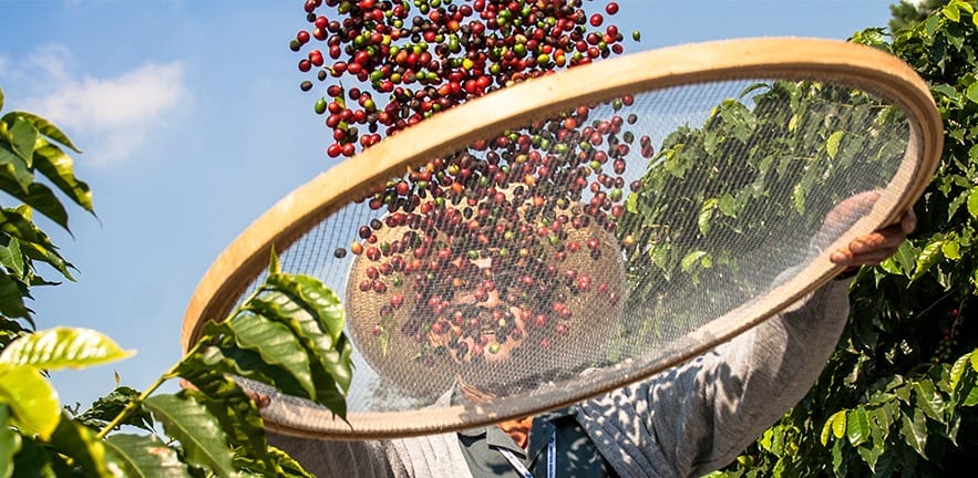 2016 04 15 news footprints 883x432 1