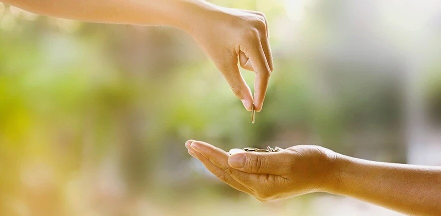 2019 mstsi researchsummary raddai flora 883x432 1