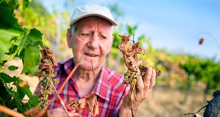 No country is immune from the impact of climate change if greenhouse gas emissions are not curtailed.