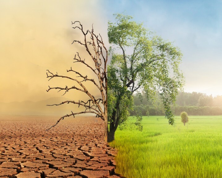 Stanford Social Innovation Review: Making Behavioral Science Work for Conservation image