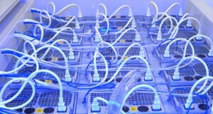 The study estimates Bitcoin's annual electricity consumption at 138 TWh (terawatt-hours), or about 0.5% of global consumption.