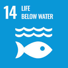 Life below water - UN sustainable development goal