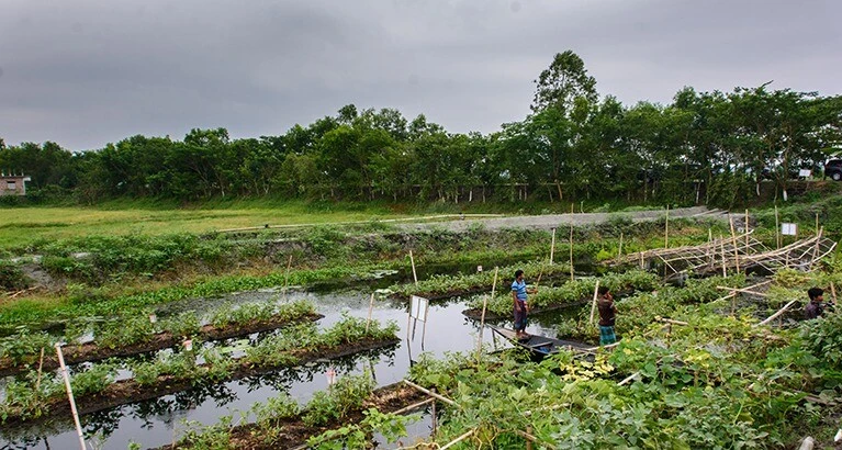 Embracing and using Local, Indigenous and ancestral knowledge systems requires “thinking differently about the relationship between nature and society” as LAIKS prioritise long-term survival and deep sustainability, says new report.