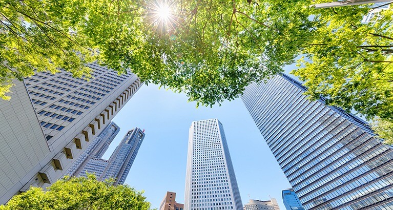 Skyscrapers and trees.