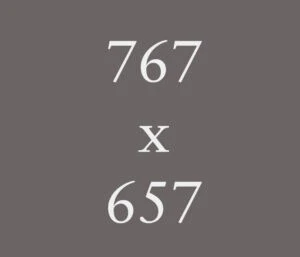 Placeholder: 767x657.