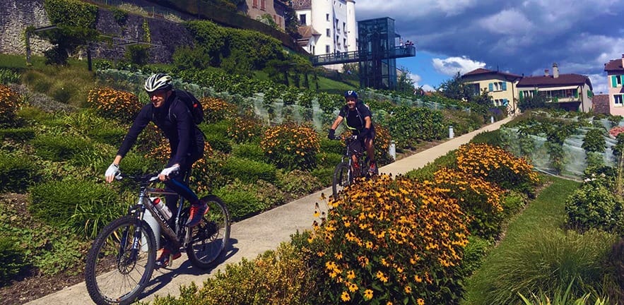 Executive MBA alumni cycling in Switzerland