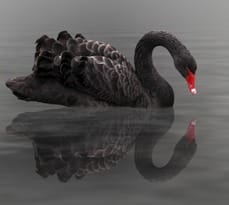 2014 news speciallectureswillexplorehowtoavoidblackswans