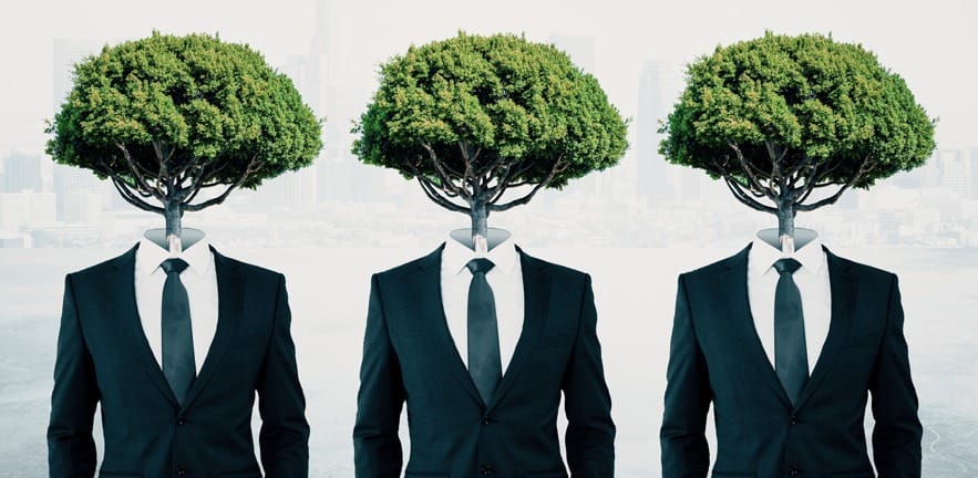 Businesspeople with trees instead of heads on white background.