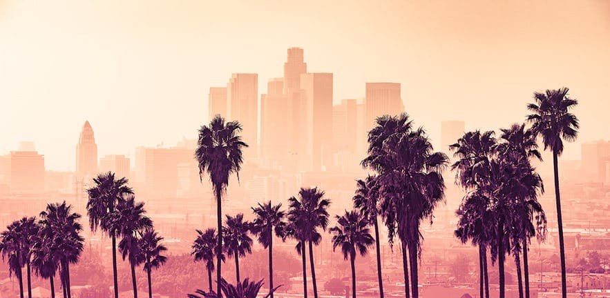 Los Angeles skyline with palm trees in the foreground