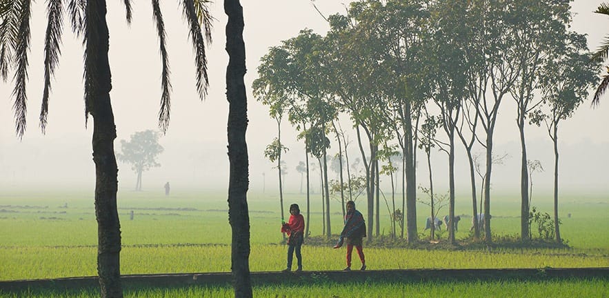 Dhaka, Bangladesh - February 19, 2014: Unidentified young Bangladeshi women walk by the rice field in misty morning in Dhaka, Bangladesh.