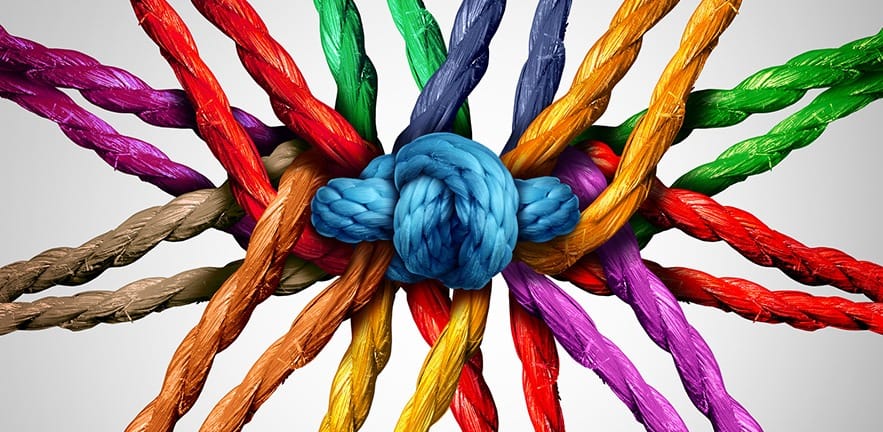 Cross-border entrepreneurship co-operation