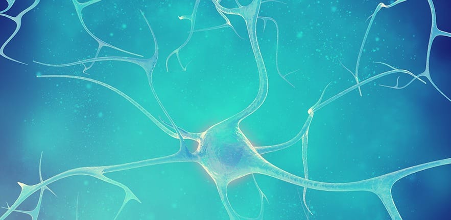 Neurons in the beautiful background. 3d illustration of a high