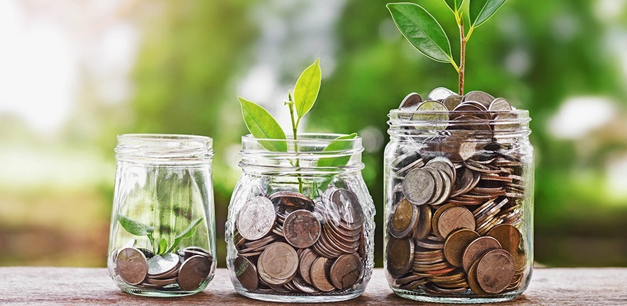 plant growing coins in glass jar with investment financial concept and green nature sunlight