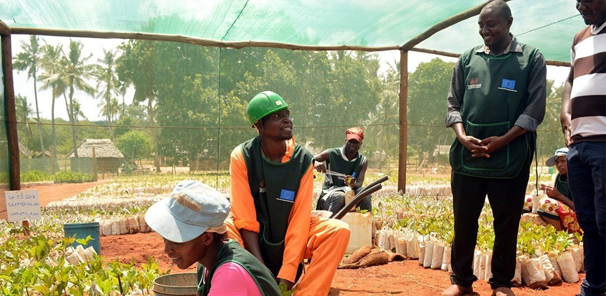 Farmers working for Ten Senses, Kenya, one of Storimarket’s producers.