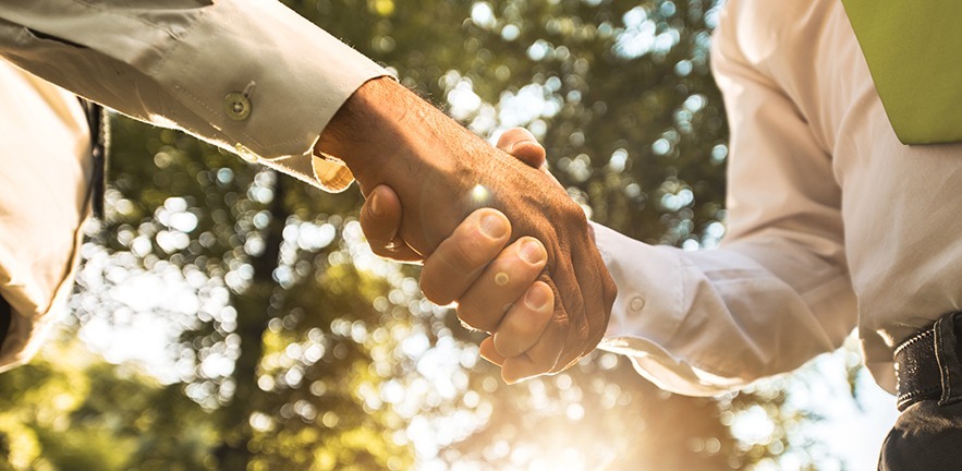 Low angle view of unrecognizable business people shaking hands in the park.