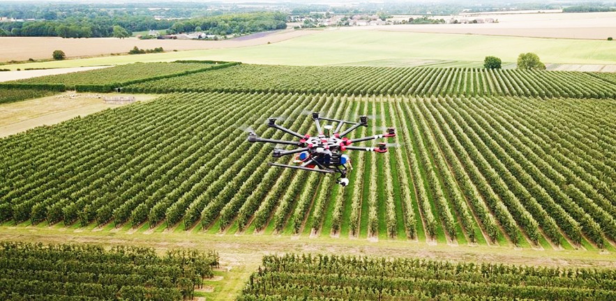 An Outfield Technologies drone surveying the orchards.