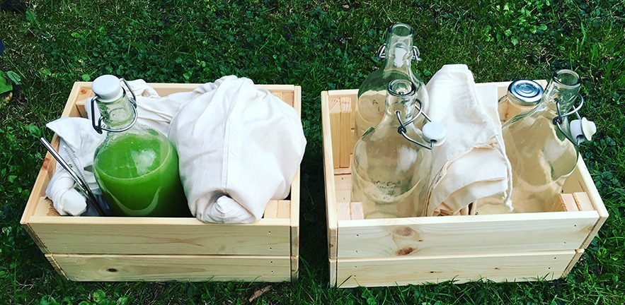 Alternatives to plastic packaging in wooden crates sitting on grass