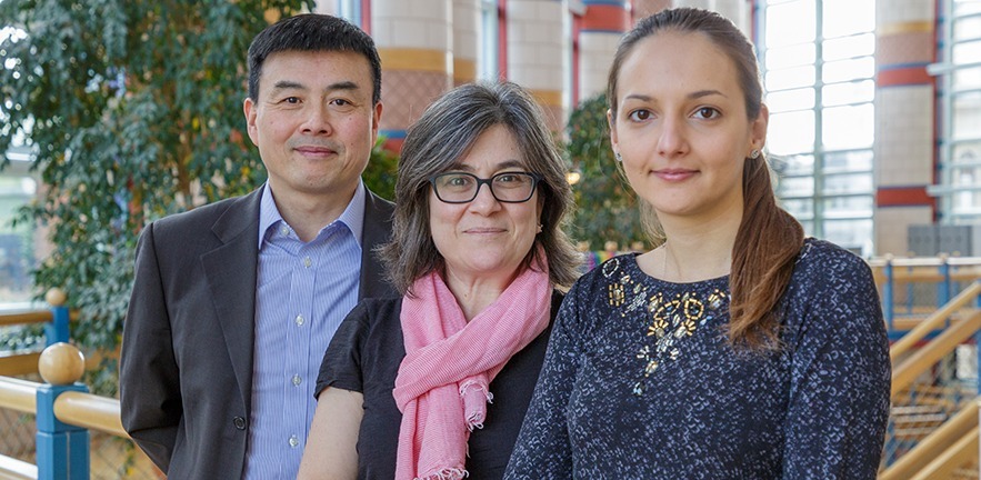 Houyuan Jiang, Feryal Erhun and Lidia Betcheva.