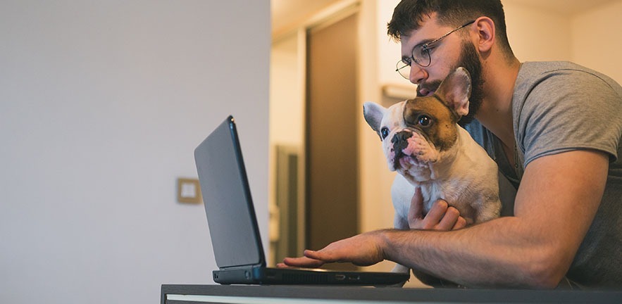 Man working from home with a dog.