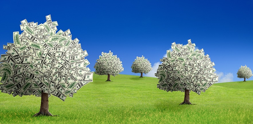 Digitally generated image of money-tree land over clear sky.