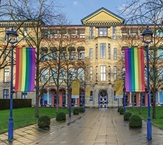 Cjbs pride flag 229x205 1