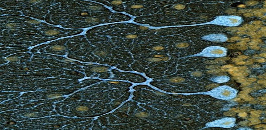 Counterfactual risk analysis event.