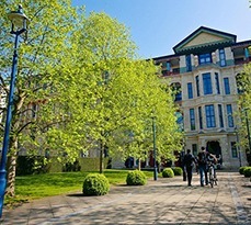 Events cjbs lampposts greenery 229x205 1