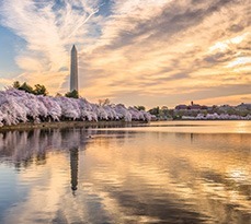 Events washingtondc cleopatrasneedle 229x205 1