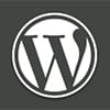 Icon wordpress 100x100 1