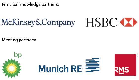 8th Risk Summit partner logos. Principal knowledge partners: McKinsey&Company and HSBC. Meeting partners: BP, Munich RE and RMS.