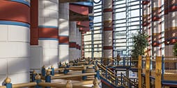 Pillars and giant windows from inside the School.