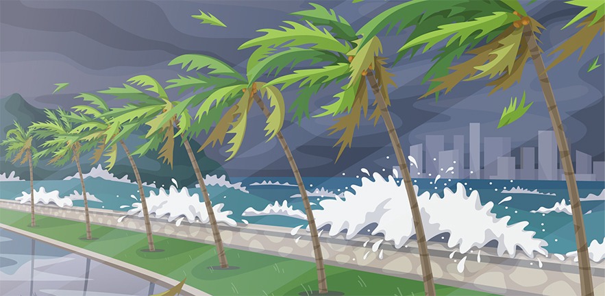 Illustration of a storm causing crashing waves and bending palm trees, with a vulnerable city in the background.