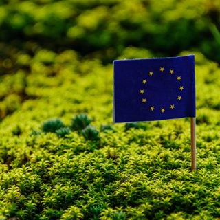 European union flag in vibrant green environment.